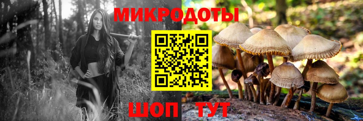 Галлюциногенные грибы прущие грибы Сосновоборск
